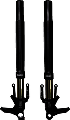 Ohlins Blackline Fork Front for 2023.5+ CVO Touring Models