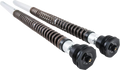 Ohlins NIX 30 Cartridge Kit for M8 Softail