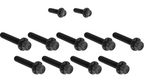 Arlen Ness Titanium 12-Point Cam Cover Bolt Kits