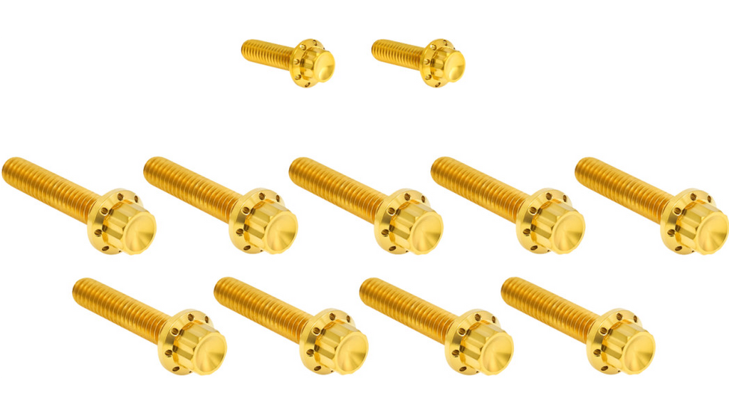 Arlen Ness Titanium 12-Point Cam Cover Bolt Kits