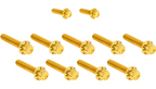 Arlen Ness Titanium 12-Point Cam Cover Bolt Kits