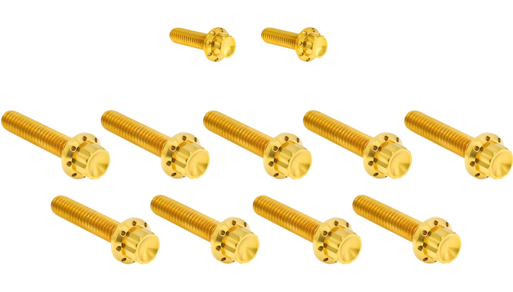 Arlen Ness Titanium 12-Point Cam Cover Bolt Kits