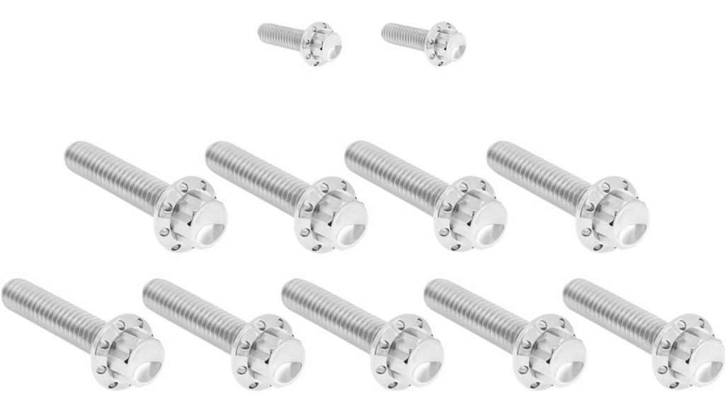 Arlen Ness Titanium 12-Point Cam Cover Bolt Kits