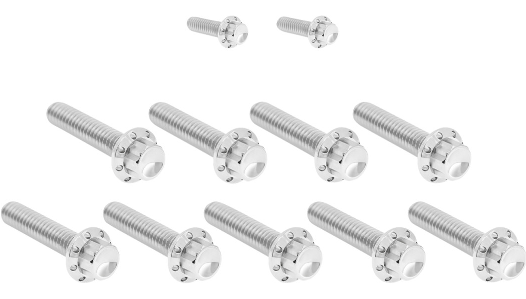 Arlen Ness Titanium 12-Point Cam Cover Bolt Kits