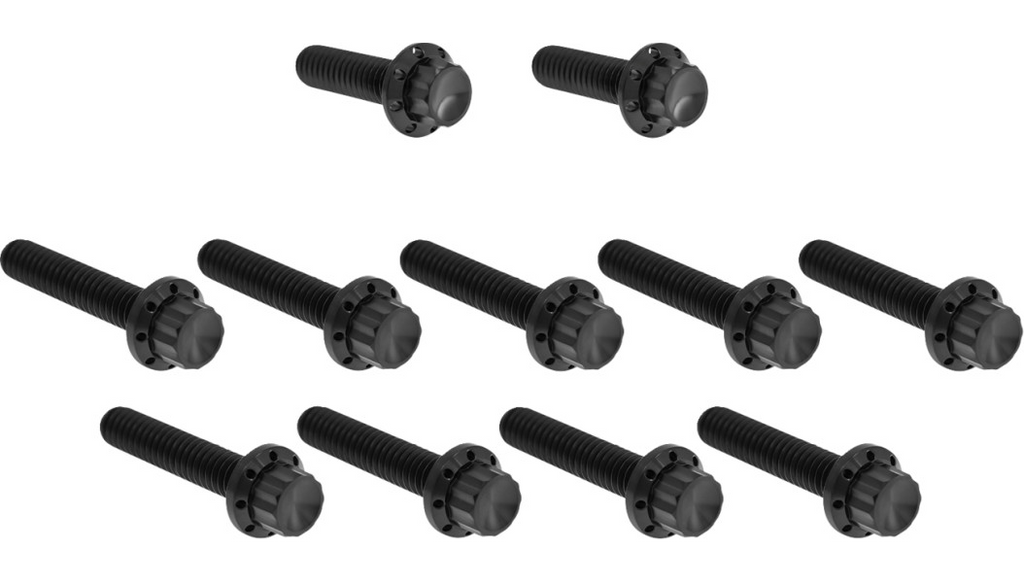 Arlen Ness Titanium 12-Point Cam Cover Bolt Kits