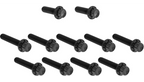 Arlen Ness Titanium 12-Point Cam Cover Bolt Kits