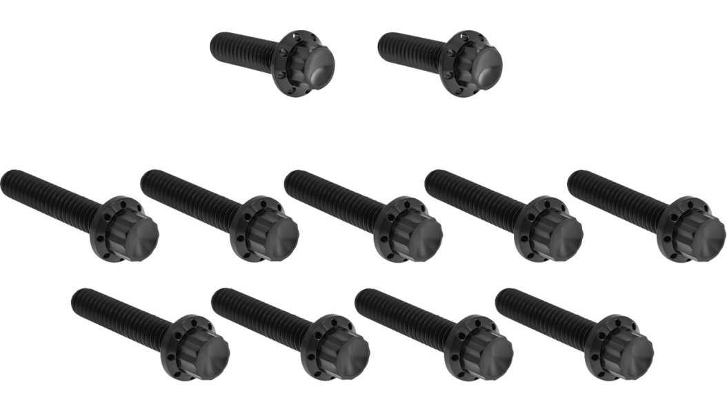Arlen Ness Titanium 12-Point Cam Cover Bolt Kits