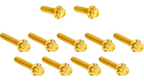 Arlen Ness Titanium 12-Point Cam Cover Bolt Kits