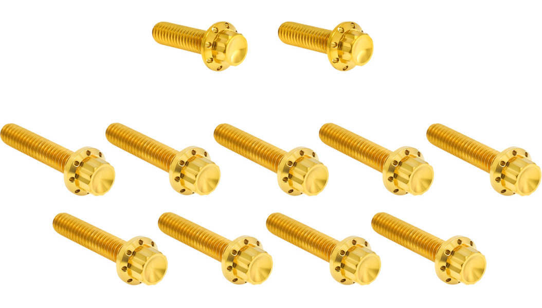 Arlen Ness Titanium 12-Point Cam Cover Bolt Kits