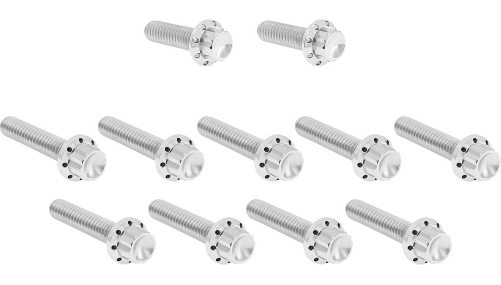 Arlen Ness Titanium 12-Point Cam Cover Bolt Kits