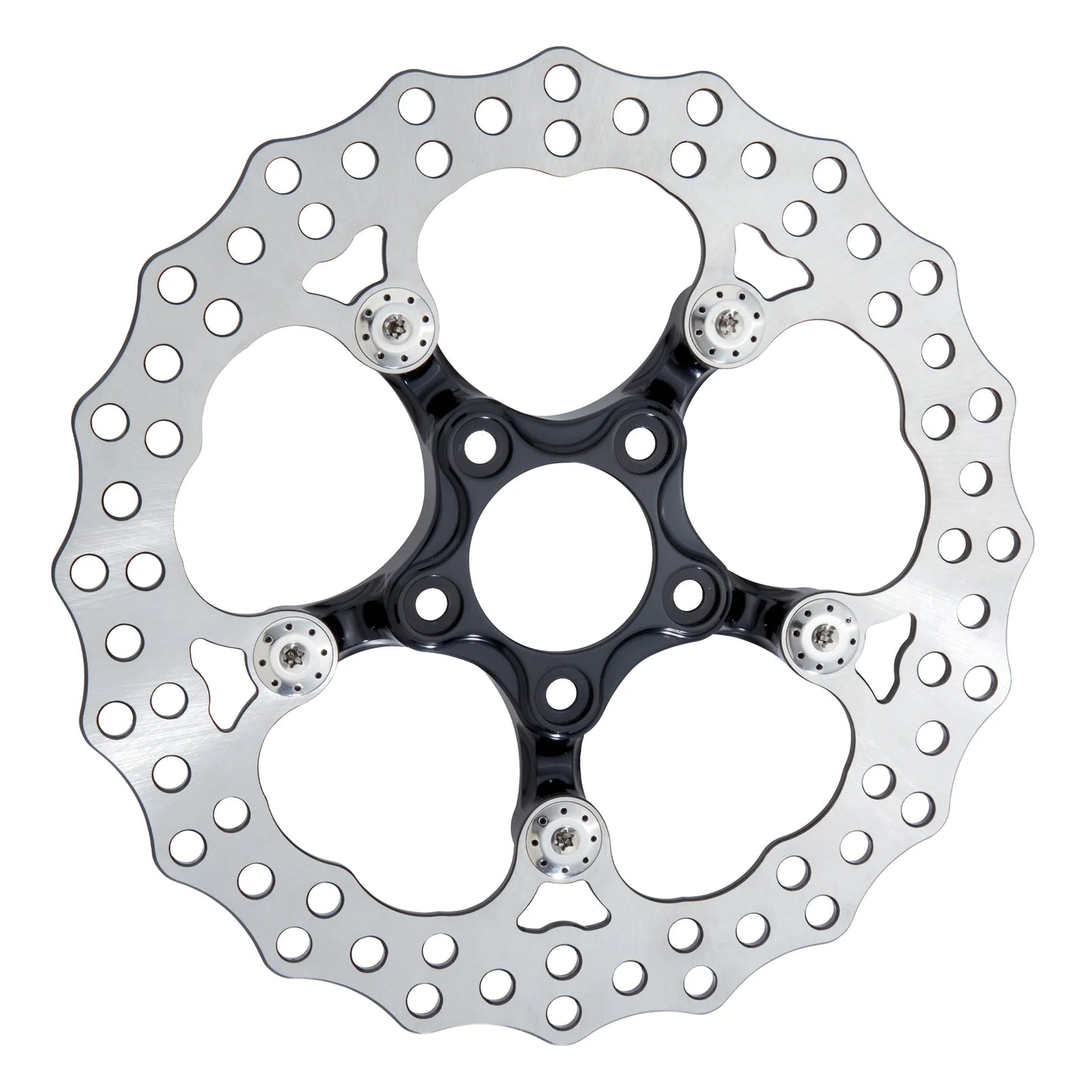 Arlen Ness - Spider Brake Rotor - Black