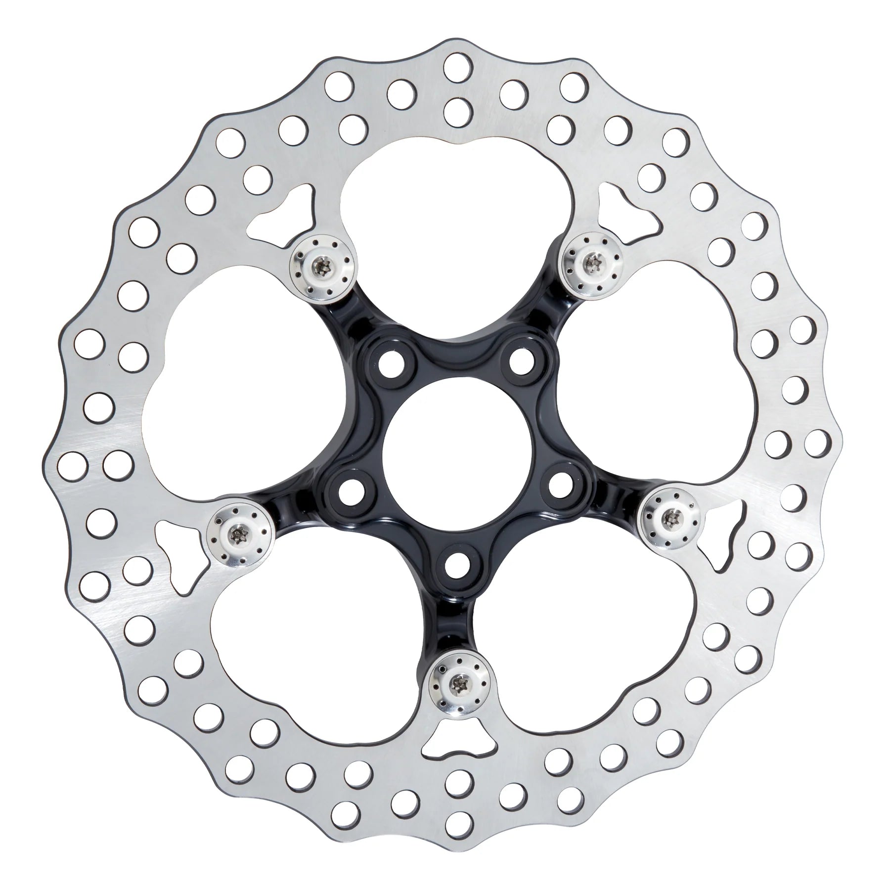 Arlen Ness Spider Brake Rotors
