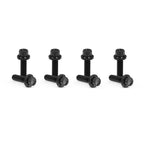 Arlen Ness Titanium 12-Point Lifter Block Bolt Kit