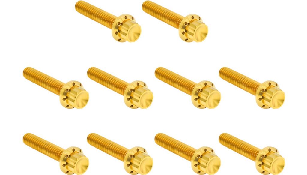 Arlen Ness Titanium 12-Point Cam Cover Bolt Kits