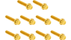 Arlen Ness Titanium 12-Point Cam Cover Bolt Kits