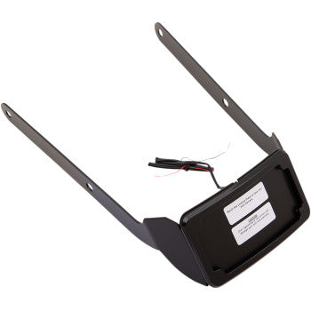 Cycle Visions Curved License Plate Frame and Mount with License Plate Light